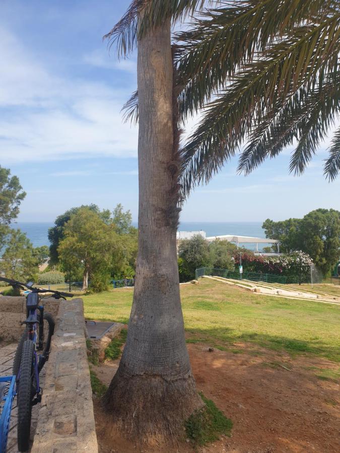 Luxury Studio At The Heart Of Old Jaffa تل أبيب المظهر الخارجي الصورة