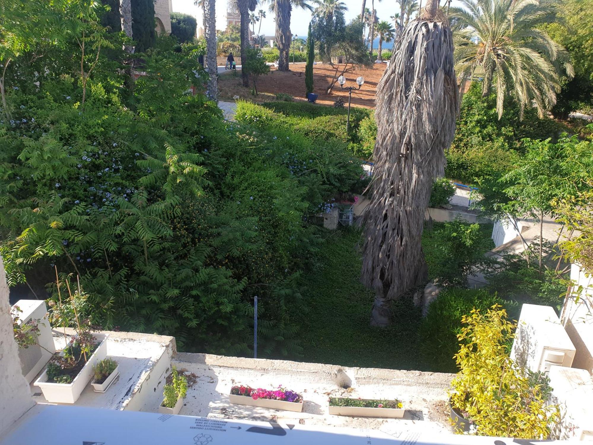 Luxury Studio At The Heart Of Old Jaffa تل أبيب المظهر الخارجي الصورة